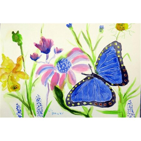 Betsy Drake Blue Morpho Door Mat, Small DM349
